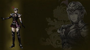 female warrior wallpaper, Dynasty Warriors 8, video games HD wallpaper