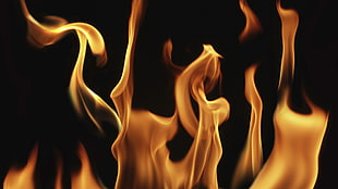 flame digital wallpaper, fire, closeup, simple background HD wallpaper