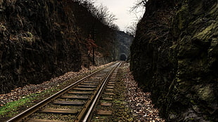 brown and white wooden fence, railway, tunnel, tunnels HD wallpaper