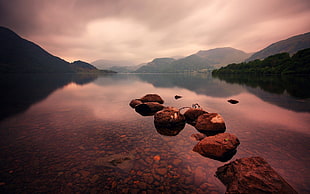 body of water during daytime