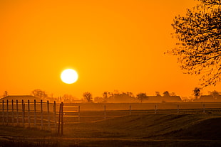 plain filed during sunset