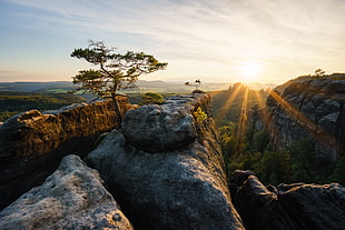 mountains on golden hour HD wallpaper