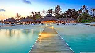 brown wooden dock, hotel