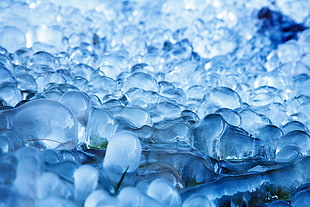 closeup photo of frozen landscape HD wallpaper