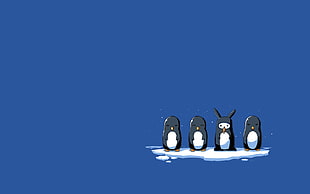 four black penguins, simple, minimalism, penguins, rabbits HD wallpaper