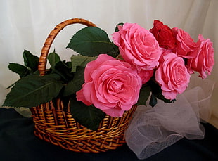pink artificial flower on brown woven basket HD wallpaper