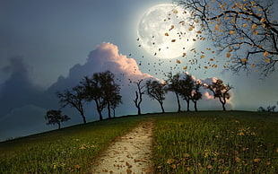 green field and moon illustration, trees, Moon