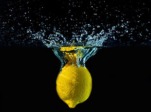 lemon submerge in water with splash HD wallpaper