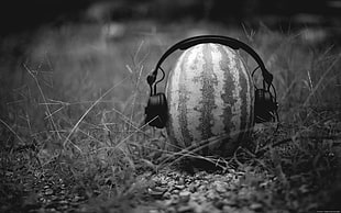 grayscale photo of watermelon and headphones, monochrome, watermelons, headphones, humor HD wallpaper