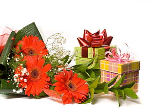 red flowers and gifts HD wallpaper