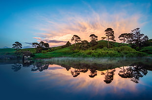 green grass mountain with trees surrounded by body of waters during daytime