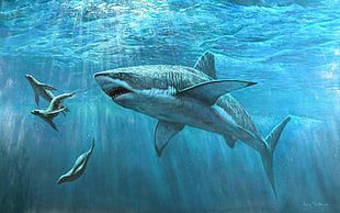 great white shark illustation, shark, animals HD wallpaper