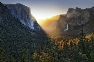 landscape photography of mountains and trees during sunset