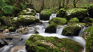 waterfalls, nature, waterfall, river, rock