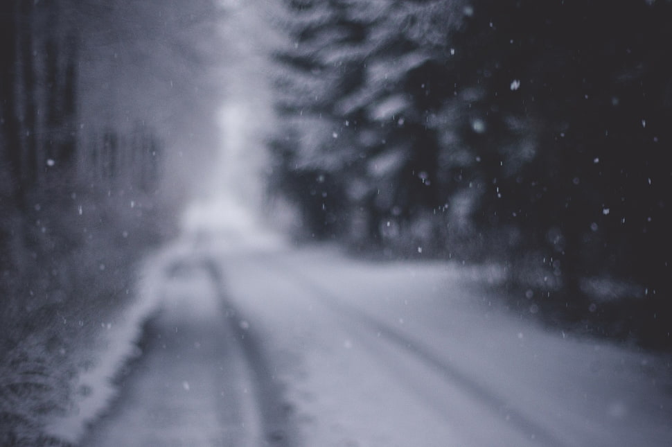 men's black dress shirt, winter, snow, blurred HD wallpaper