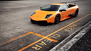 orange Lamborghini Murcielago coupe, car, orange cars HD wallpaper