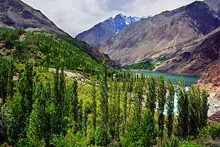 landscape photography of trees near mountain under cloudy sky