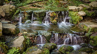 running water on brown stone formation, fern HD wallpaper