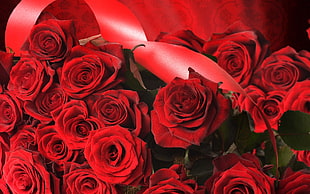 red Rose bouquet HD wallpaper