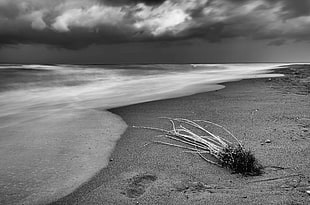 grayscale photo of ocean