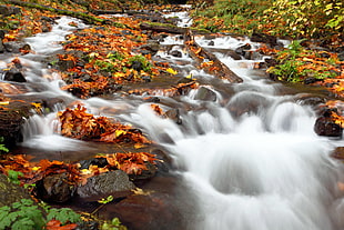 time lapse photo of ranging river