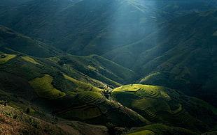 green mountain, mountains, Vietnam, sunlight, landscape HD wallpaper