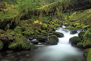 Stream photo HD wallpaper