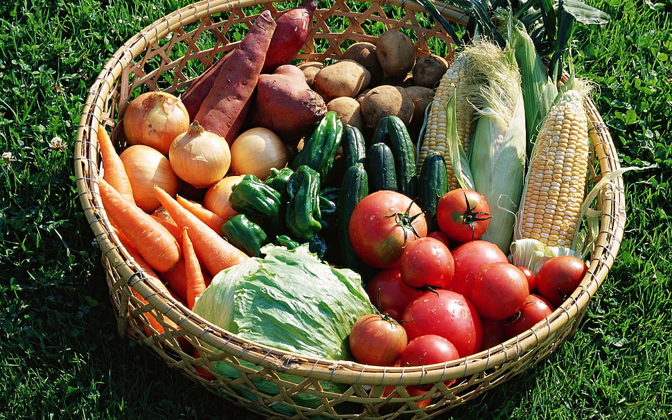 vegetables on basket surrounded by grass HD wallpaper