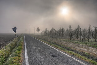 pathway between trees and grass under the stormy cloud, bomporto, italia