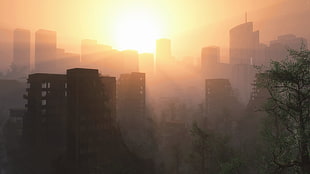 black and white wooden cabinet, sunlight, cityscape, ruins, apocalyptic