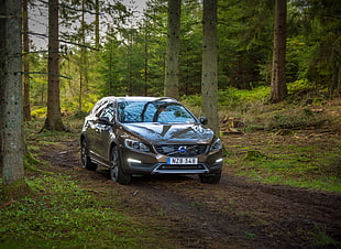 brown Volvo XC90 on the forest HD wallpaper