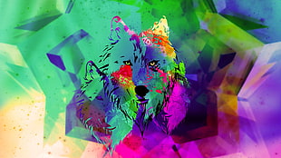 wolf abstract painting digital wallpaper, wolf HD wallpaper