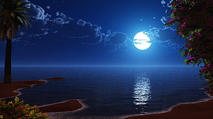 full moon on calm sea painting HD wallpaper