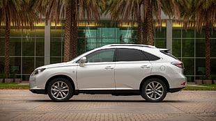 white SUV, Lexus RX350, Lexus, silver cars, car HD wallpaper