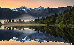 body of water beside trees, nature, landscape, lake, reflection