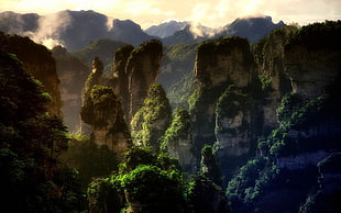 rock mountain, nature, landscape, mountains, forest