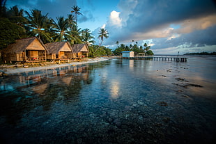 body of water, nature, landscape, beach, coral