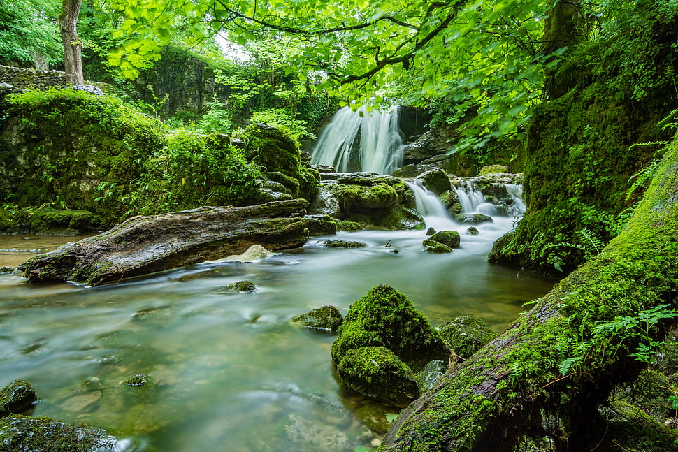 falls and forest photo during daytime HD wallpaper