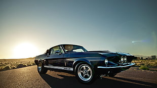 black Ford Mustang Eleanor coupe, car HD wallpaper