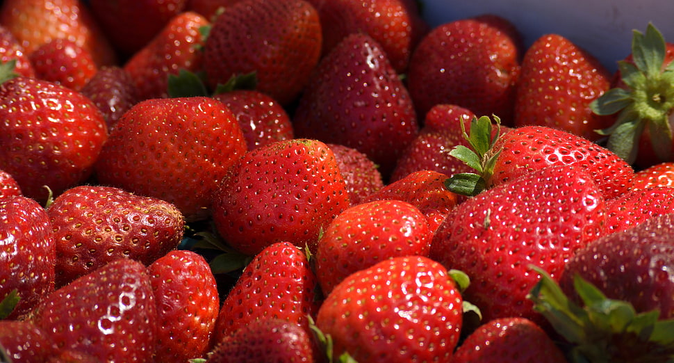 red strawberries, Strawberries, Berries, Ripe HD wallpaper