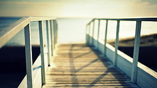 selective focus photography footbridge in front of body of water HD wallpaper