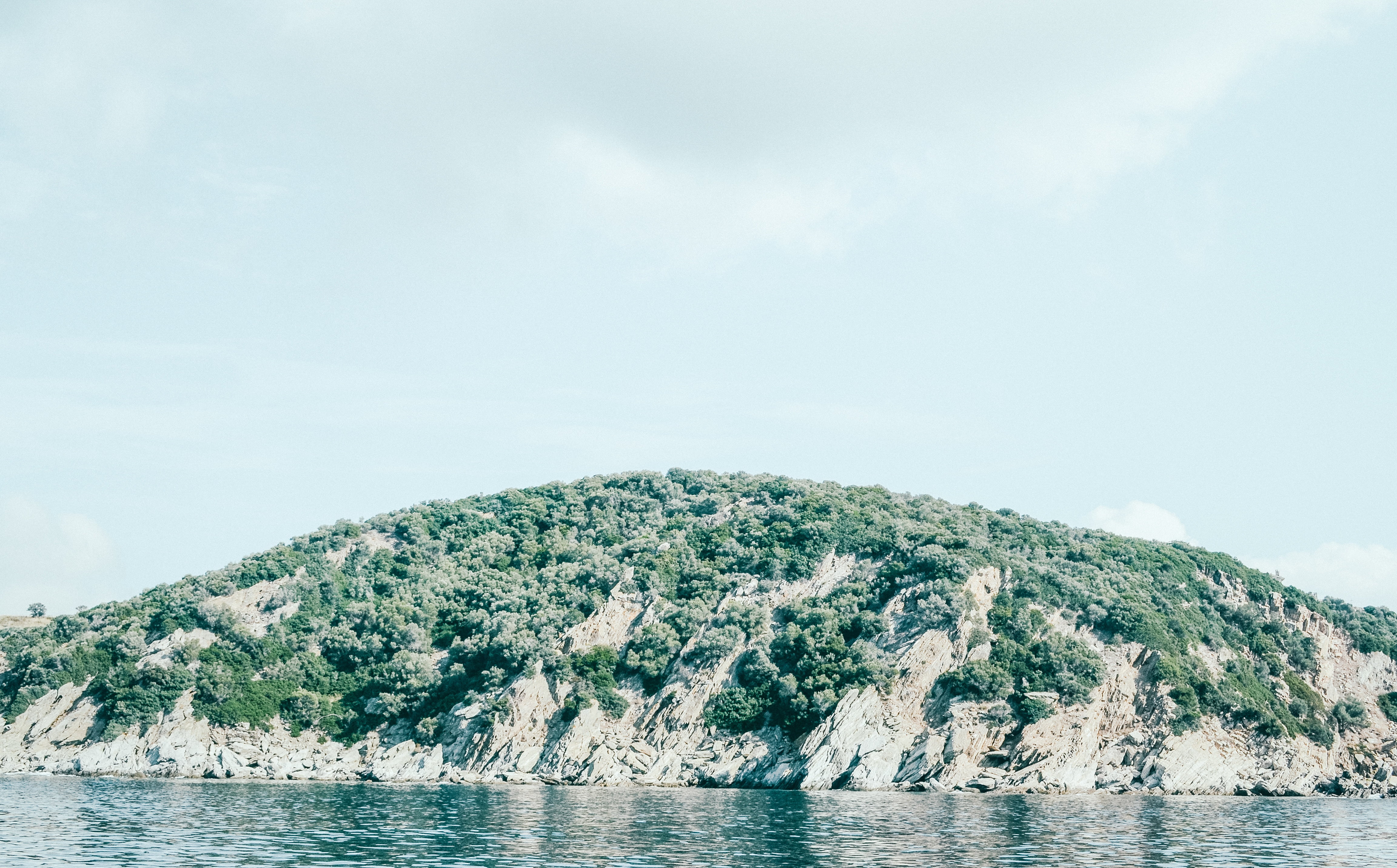 green leafed trees, Island, Beach, Sea