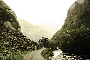 gray road near body of water during daytime