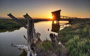 lake under orange sunset HD wallpaper