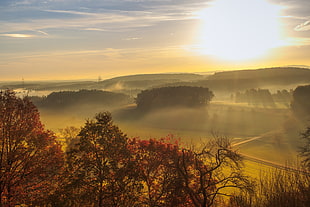 red and green leaf trees under blue sky during yellow sunset \ HD wallpaper