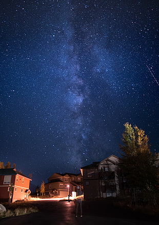 brown painted house, nature, stars, house, Milky Way