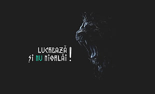 black roaring lion digital wallpaper, lion, brilliancereview, lucreaza HD wallpaper