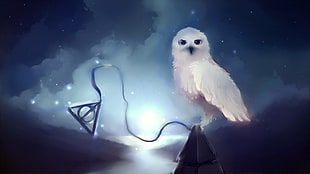 white owl with triangle ornament digital painting HD wallpaper