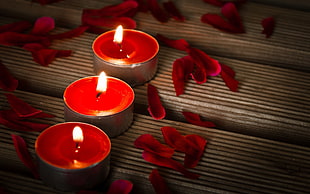 three lighted red tealight candles surrounded by red petals HD wallpaper