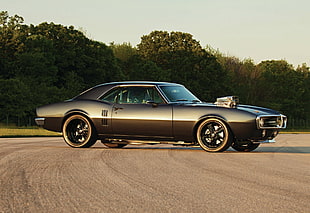 grey muscle car, muscle cars, 1969 Pontiac Firebird, car HD wallpaper